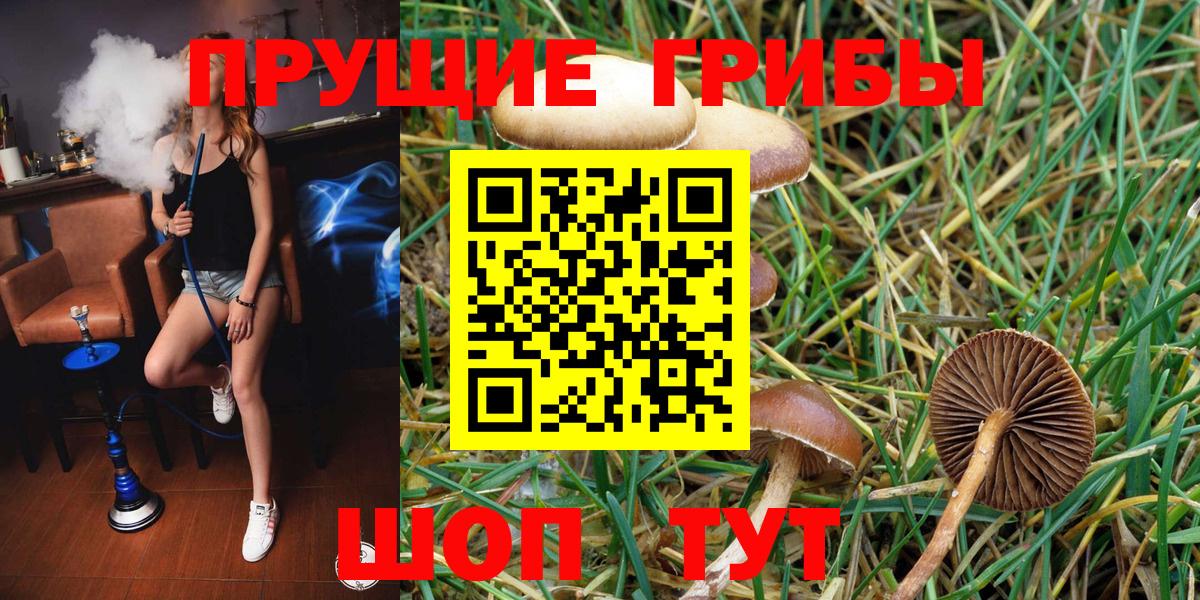 Галлюциногенные грибы MAGIC MUSHROOMS Мелеуз